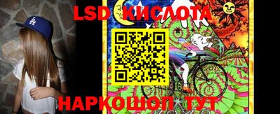 PSILOCYBIN Заволжье
