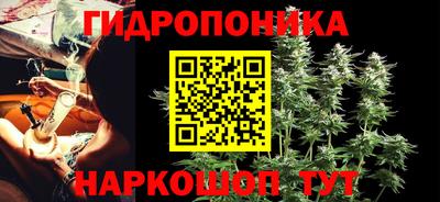 PSILOCYBIN Заволжье