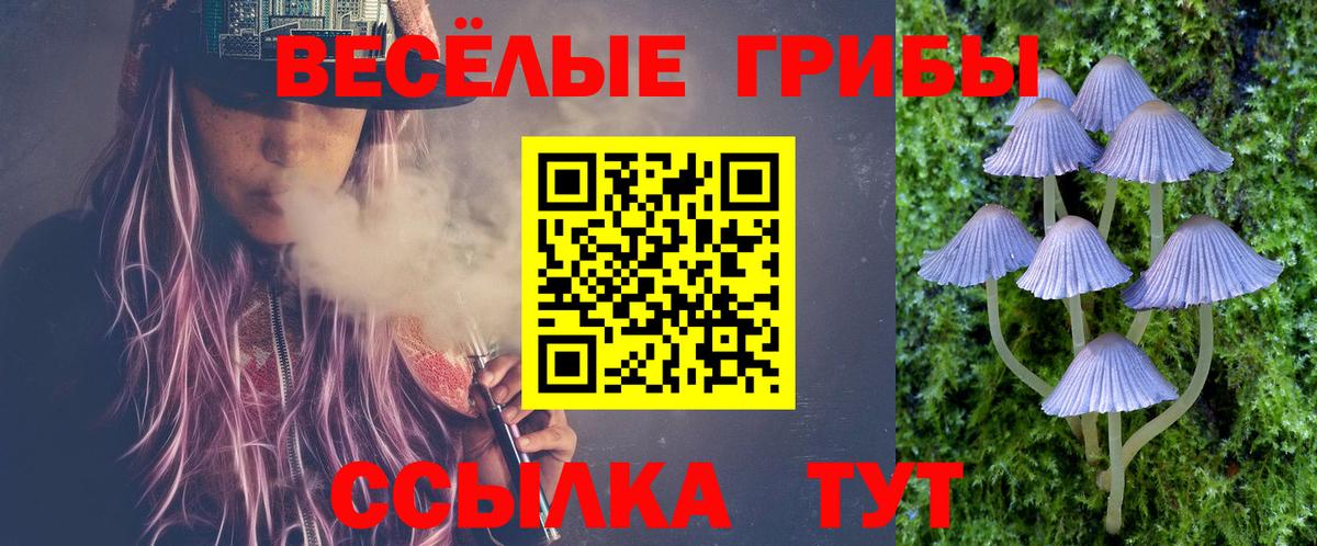 Галлюциногенные грибы MAGIC MUSHROOMS  Псилоцибиновые грибы Cubensis  даркнет сайт  Люберцы  Вход с VPN 