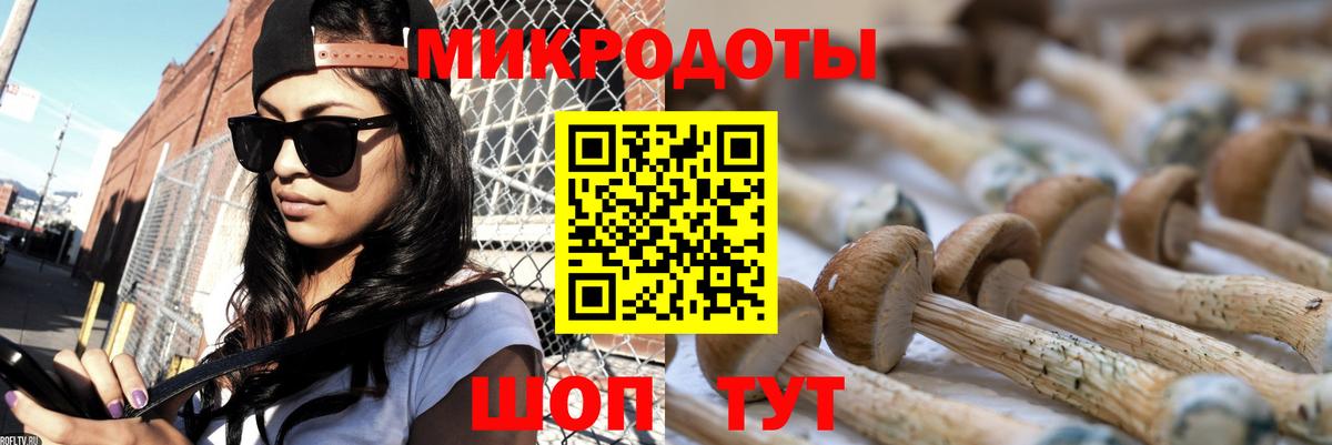 Галлюциногенные грибы Psilocybe Люберцы